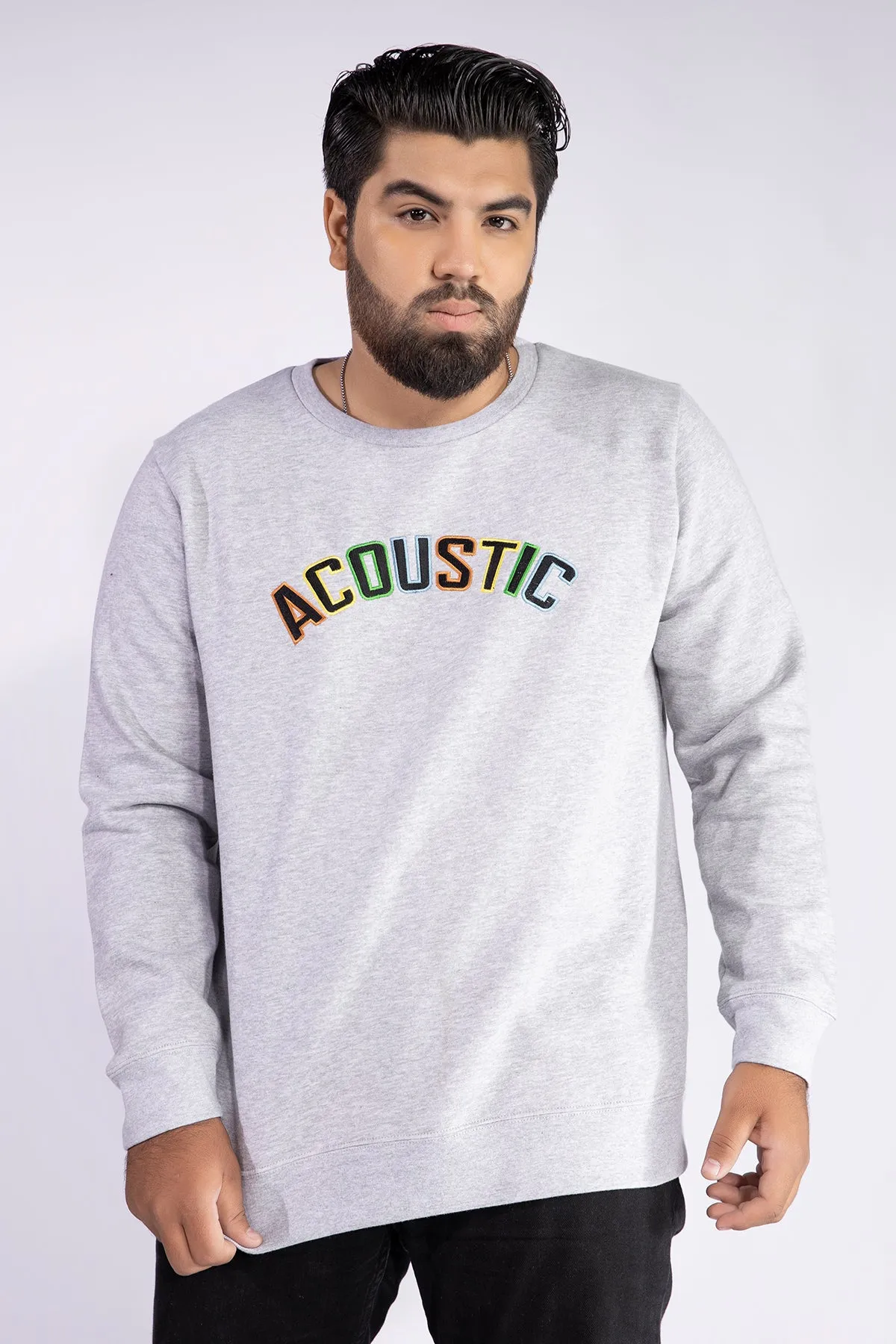 Acoustic Grey Embroidered Sweatshirt (Plus Size) - W21 - MSW028P