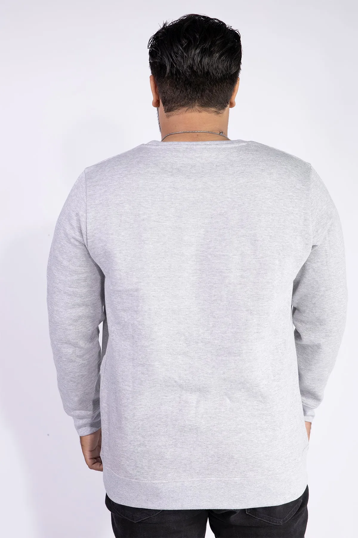 Acoustic Grey Embroidered Sweatshirt (Plus Size) - W21 - MSW028P