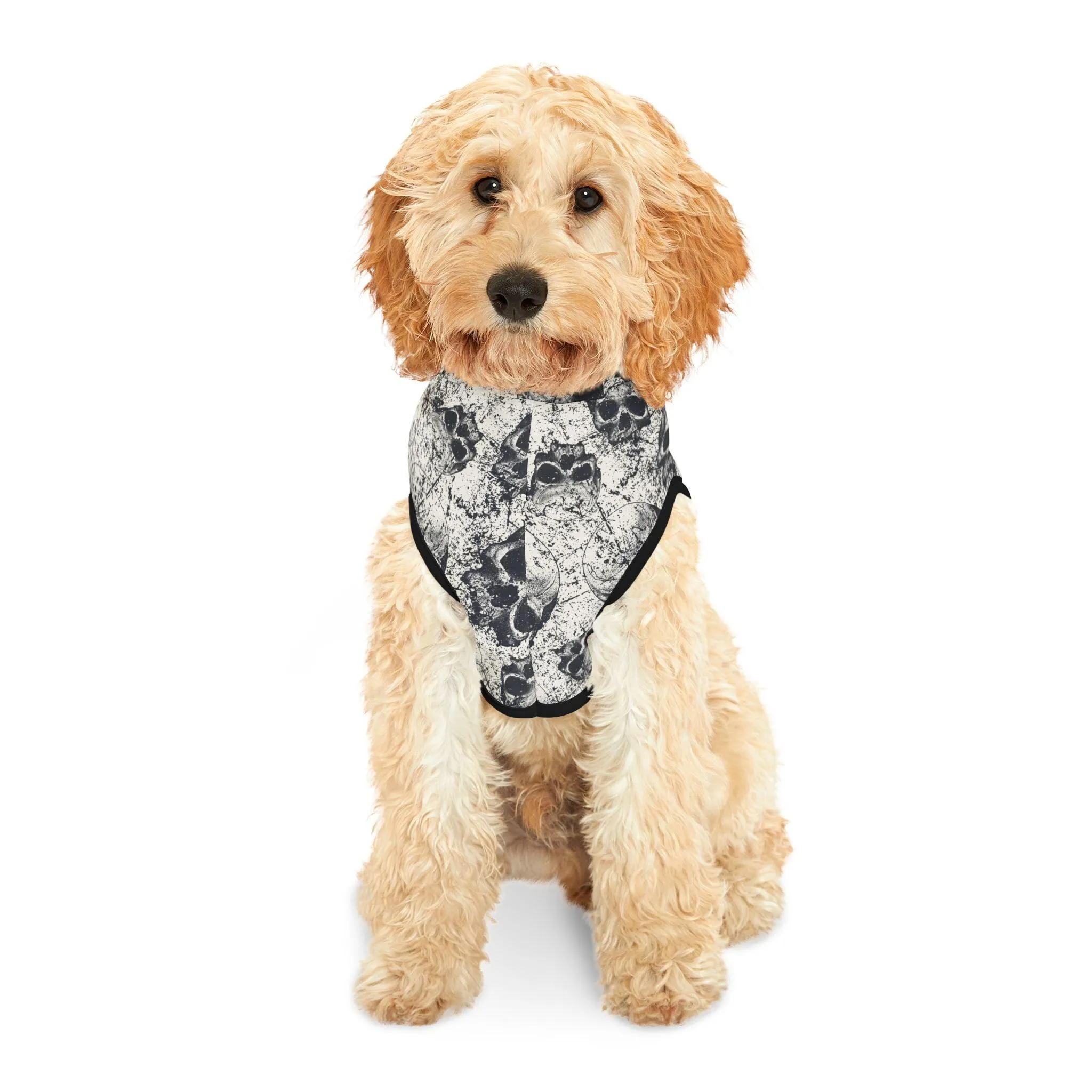 Ancient Skulls Pet Hoodie