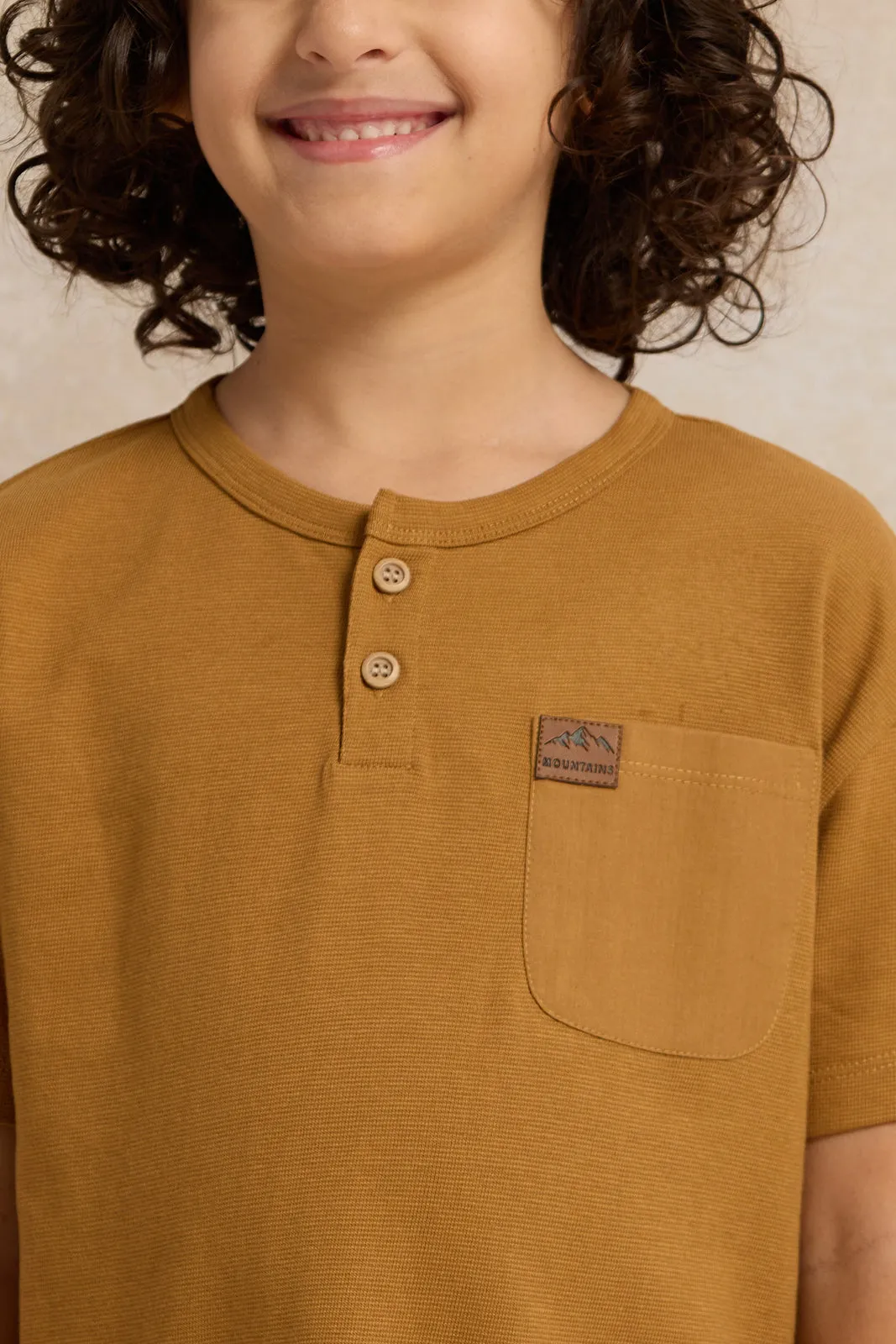Boys Brown Solid Short sleeve T-shirt