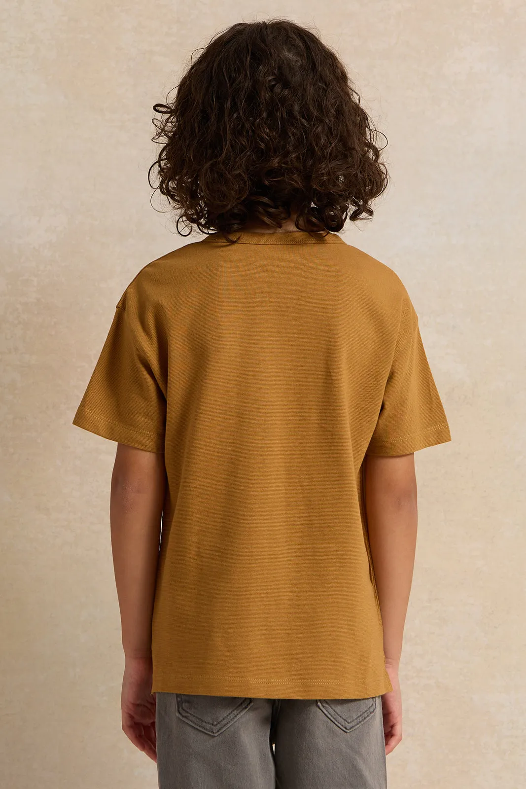 Boys Brown Solid Short sleeve T-shirt