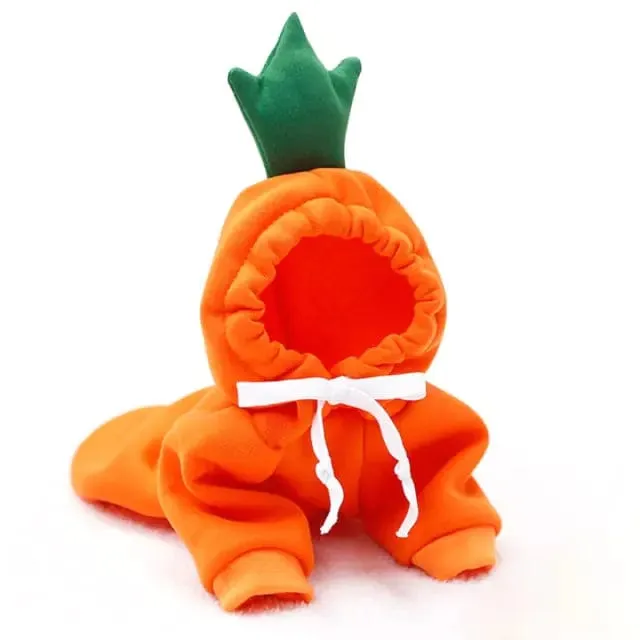 Fruit Hoodies for Dogs