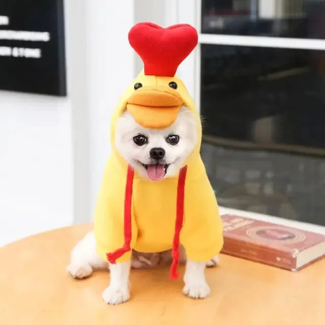 Fruit Hoodies for Dogs