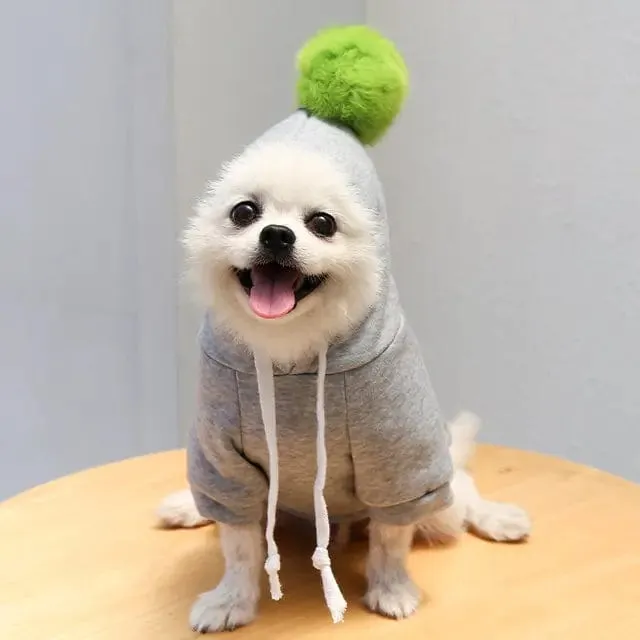 Fruit Hoodies for Dogs