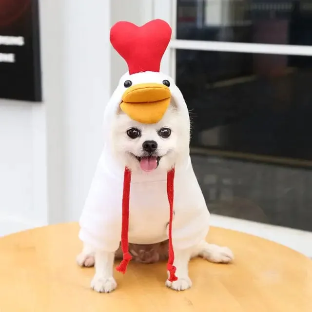 Fruit Hoodies for Dogs