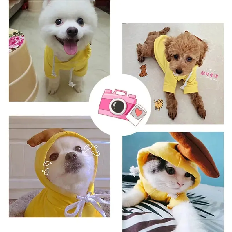 Fruit Hoodies for Dogs