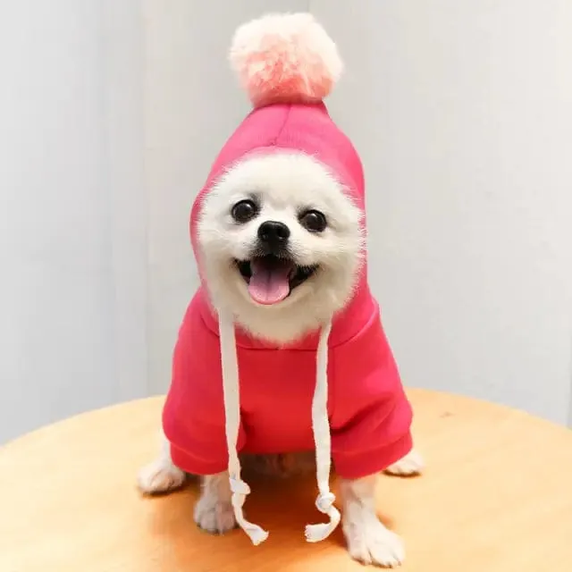 Fruit Hoodies for Dogs