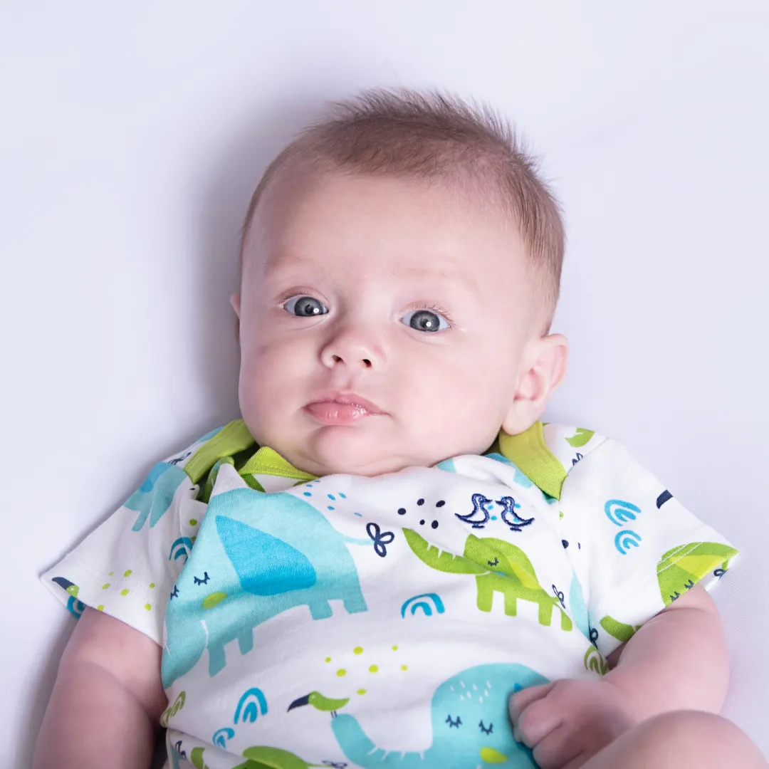 Little Elephant Print Boys Pack of 2 Baby Vests
